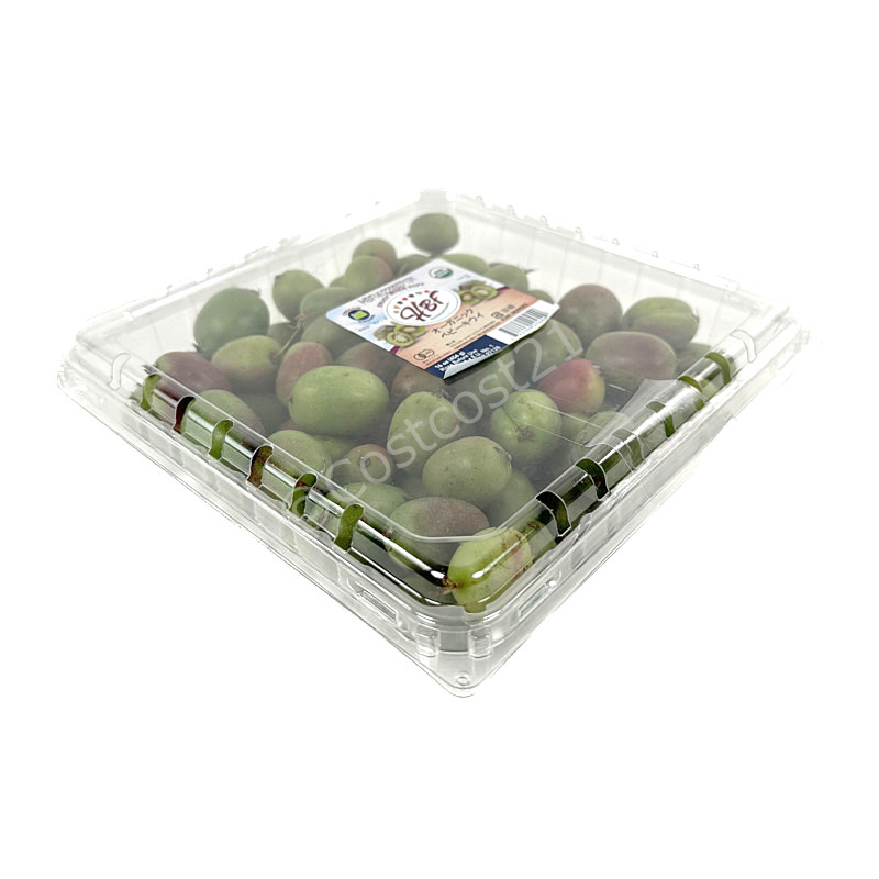 オーガニック ベビーキウイ 450g Organic Baby Kiwi